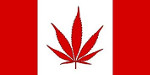 Canada marijuana flag