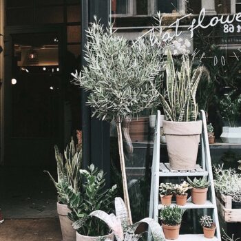 Woman arranging plants in flower shop front