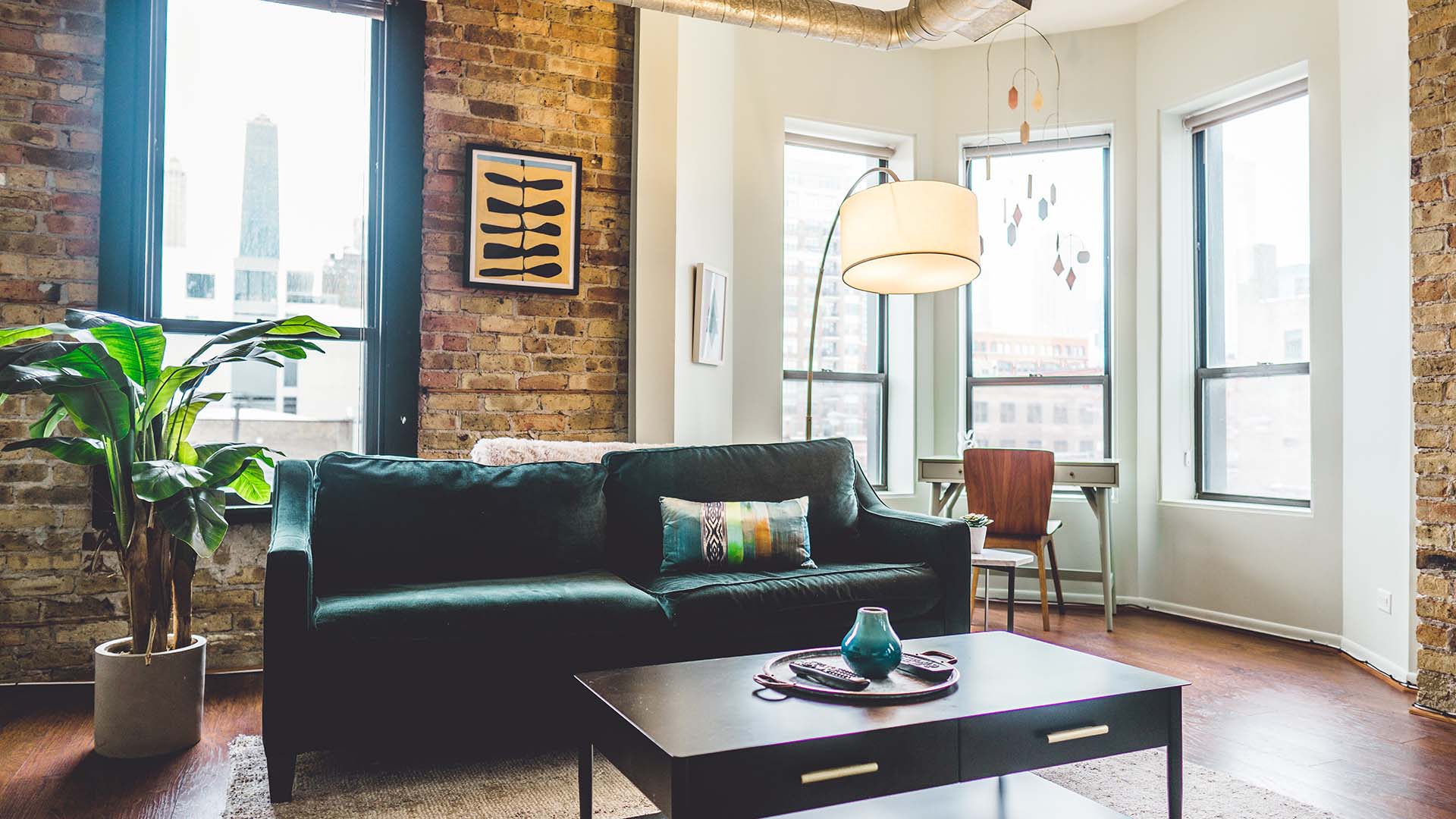 Green sofa in a brightly lit living room