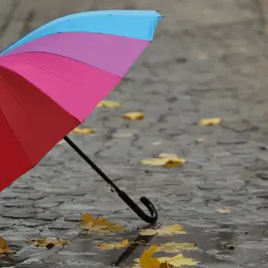 Umbrella in bad weather.