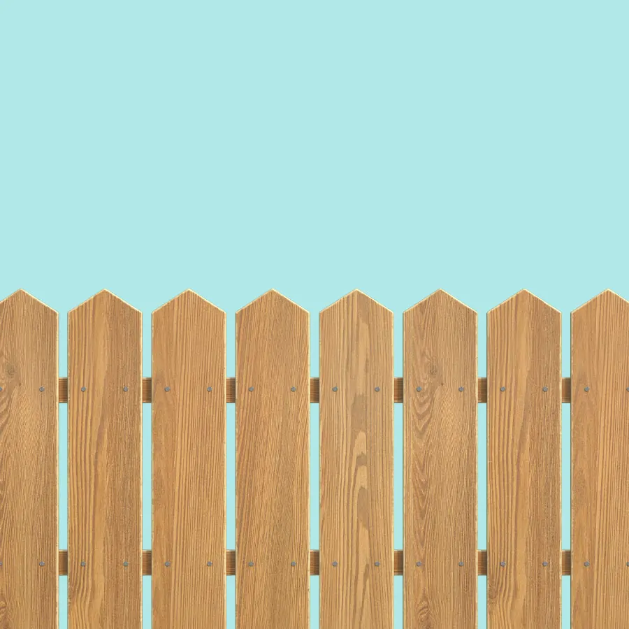 Fence.