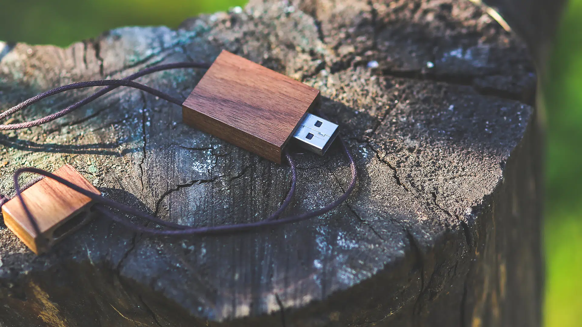 flash drive sitting on a log