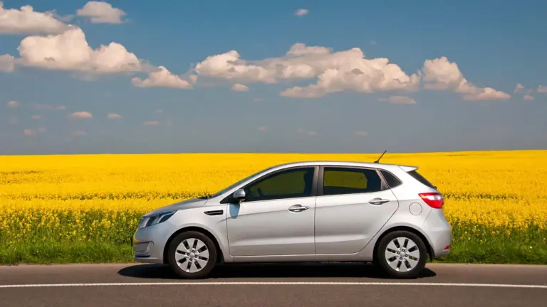 Hatchback car parked by a canola field.