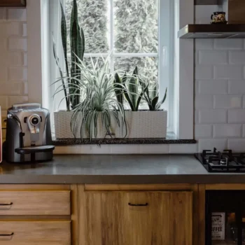 Brown kitchen with white walls and window looking over back yard