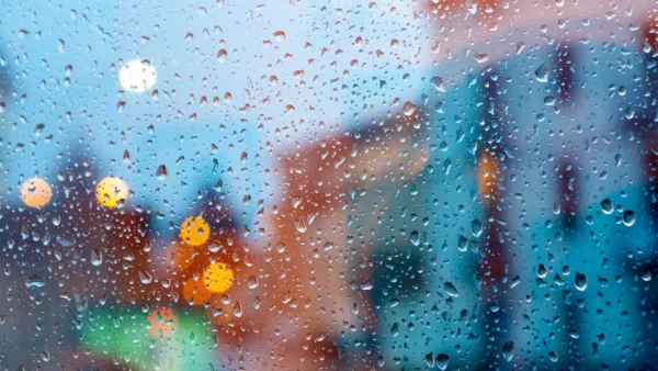 Rainy window in a house looking onto the street.