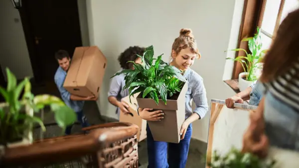 Roommates moving into an apartment.