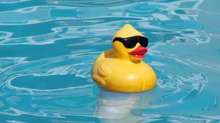 rubber duck wearing sunglasses floating in water