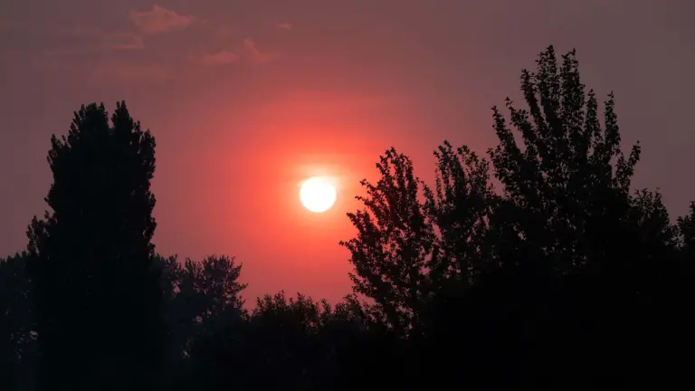 Red sky from wildfire smoke.