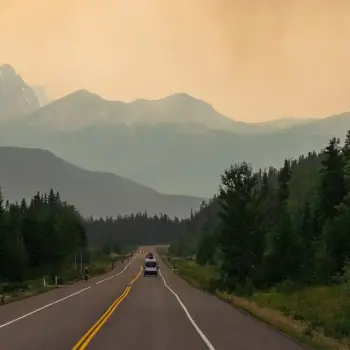 Wildfire smoke along road.